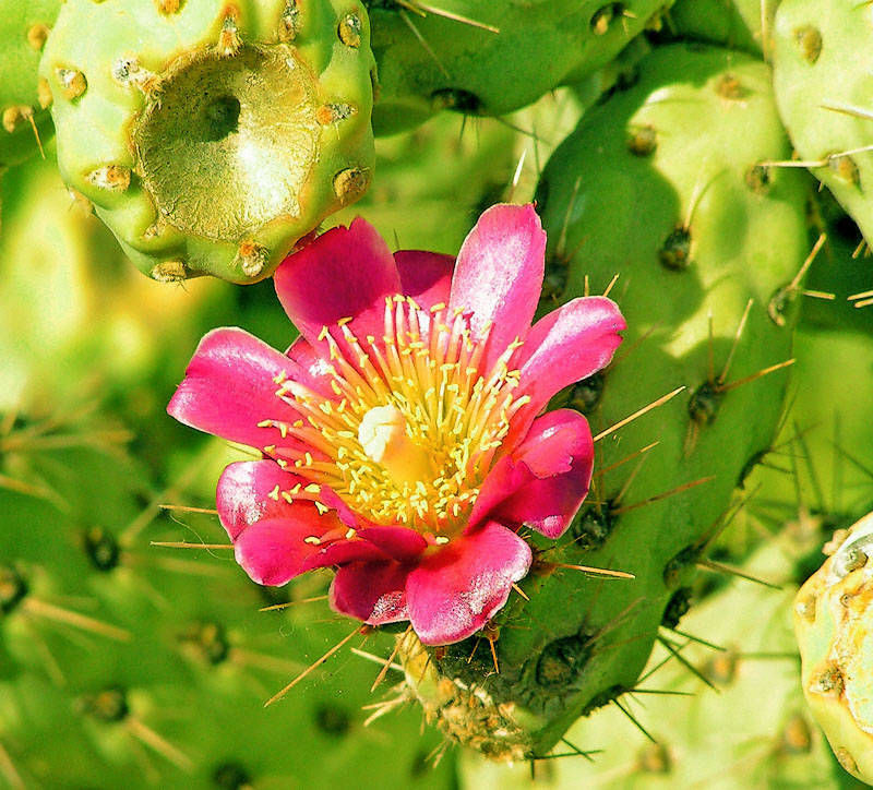 test